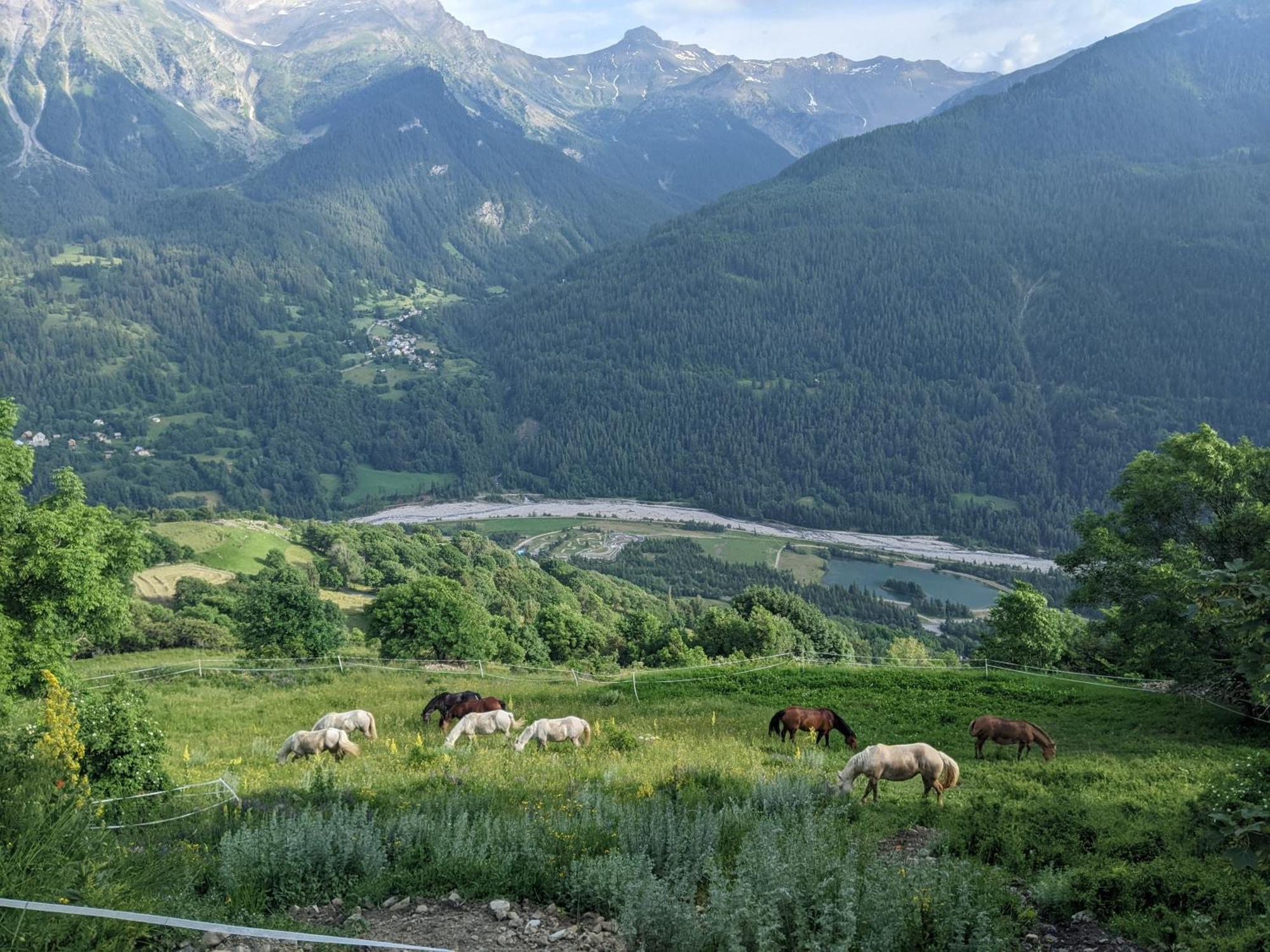 Gite Du Bois De L'Ours Orcieres Luaran gambar